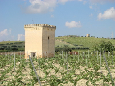 Rook Watch Towers.